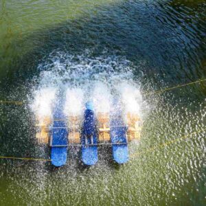 Paddlewheel Aerator