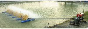 Diesel Engine Paddlewheel (2)